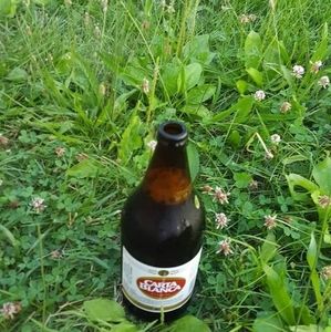 Meet your Posher, Roberto